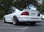 Thumbnail Photo 16 for 1994 Ford Mustang